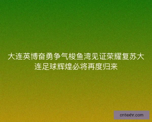 大连英博奋勇争气梭鱼湾见证荣耀复苏大连足球辉煌必将再度归来